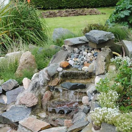 Bed & Breakfast Oldcourt House 4*
